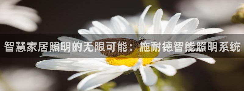 云顶国际高中学费多少