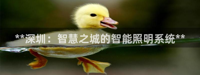 云顶国际服官网
