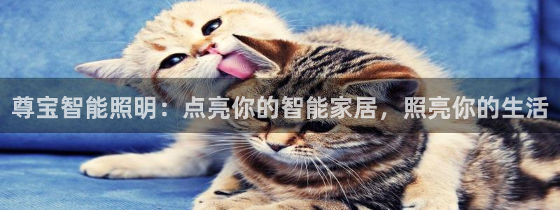 云顶国际黄钊华