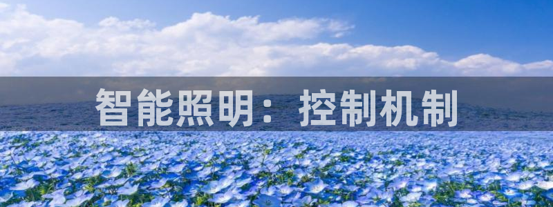 云顶国际酒店电话