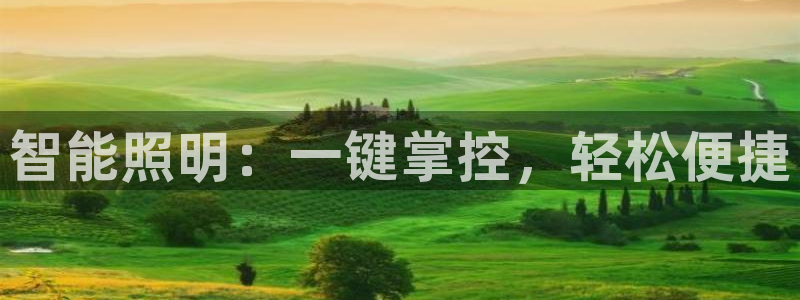 云顶国际服账号交易