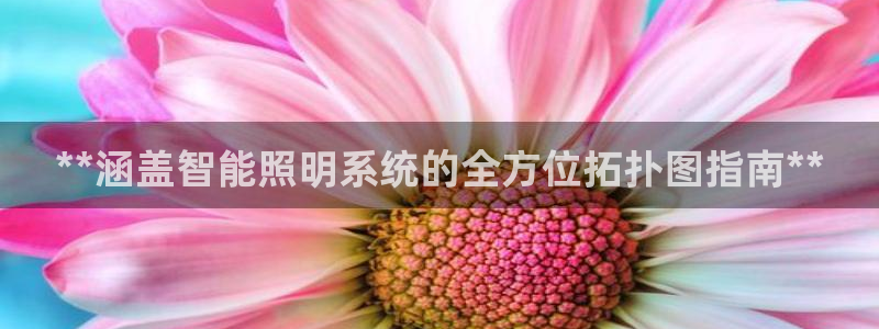 官方云顶国际网站下载