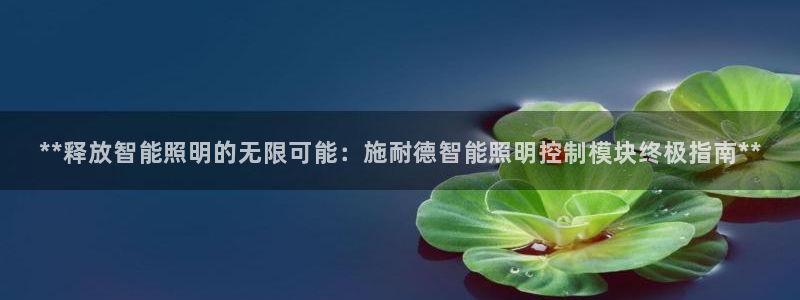 云顶国际晟荣协会会长是谁