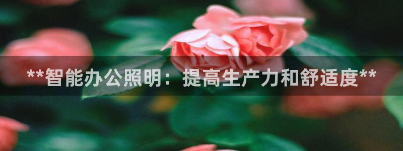 云顶国际提现不到账怎么回事