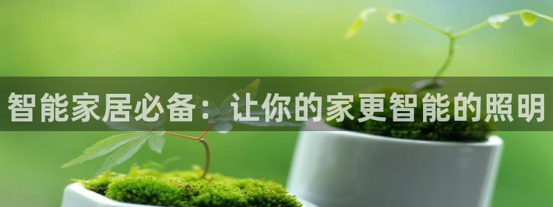 云顶国际宴会中心老板是谁