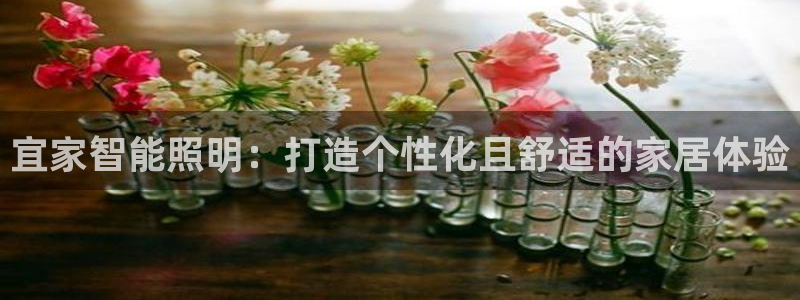 2322云顶国际手机版