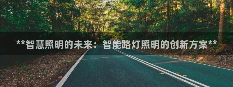 云顶国际服服务端错误