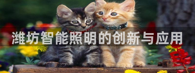 云顶集团公司董事长是谁