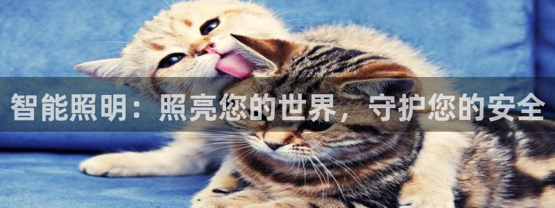 云顶国际是黑台吗知乎