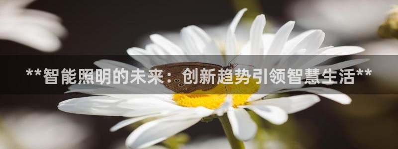 云顶国际体育