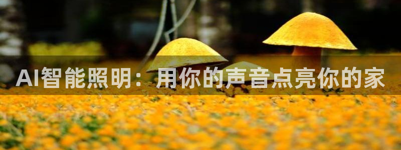 云顶国际ktv怎么样