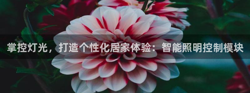 云顶国际会所