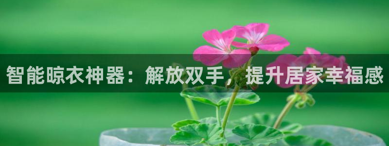 云顶国际app是什么游戏