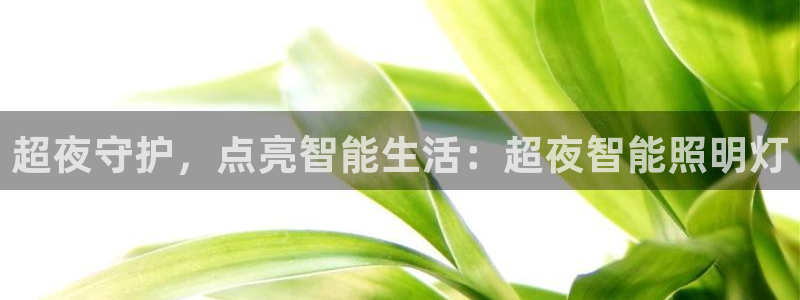 2418云顶