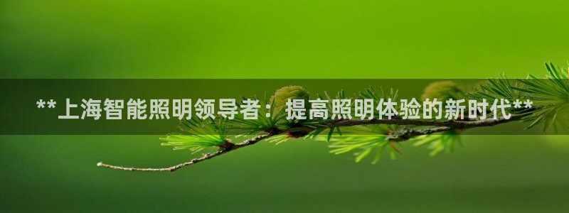 云顶国际游戏网址大全