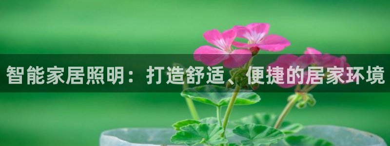 云顶国际物流官网电话