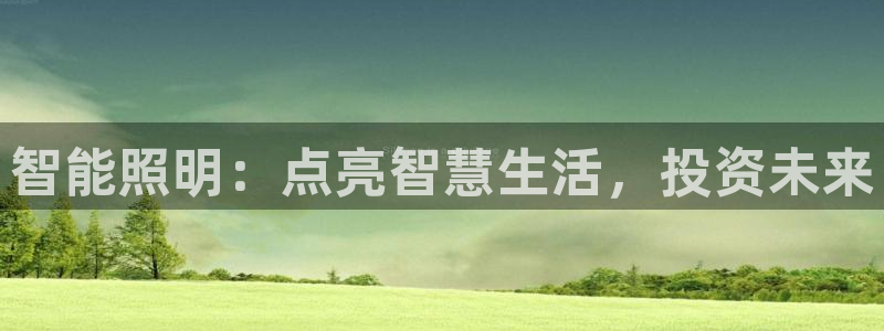 云顶集团网站多少钱一个