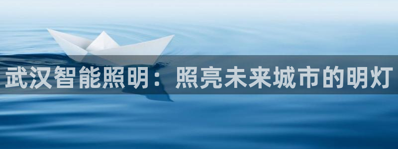 云顶国际酒店老板简介