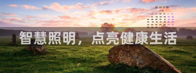 云顶集团有限公司简介
