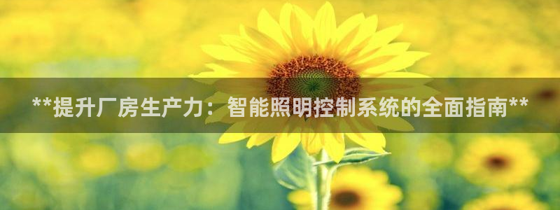 云顶集团有限公司,林东简历