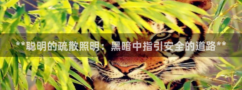 云顶国际是真实网站吗?
