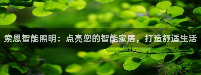 云顶国际大酒店是几星级