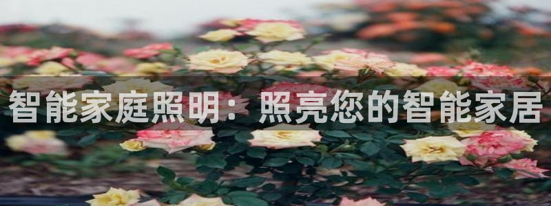 云顶国际服什么时候更新s90