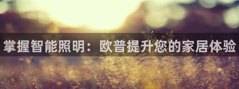 云顶新网站