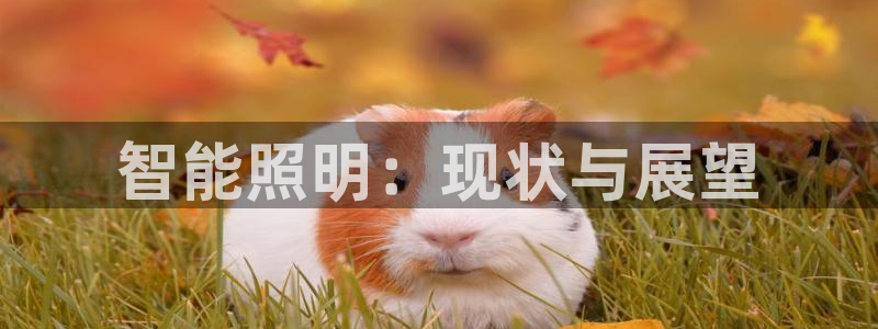 云顶手游国际服什么时候更新4.5