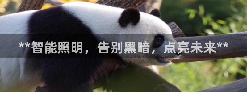 云顶2021