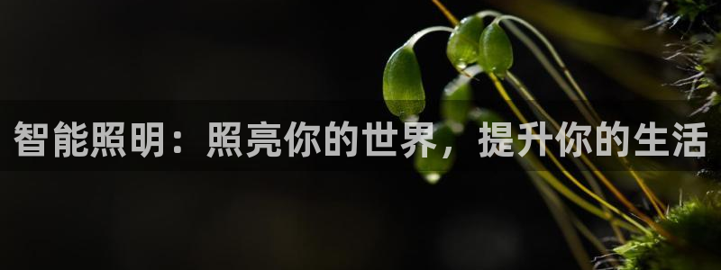 云顶国际yd8888
