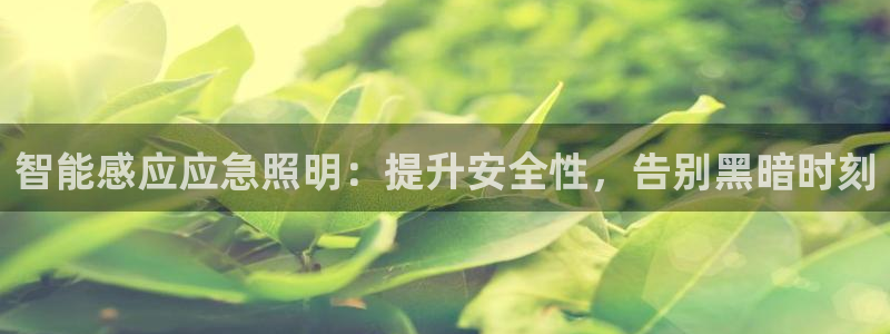 云顶国际培训中心学费