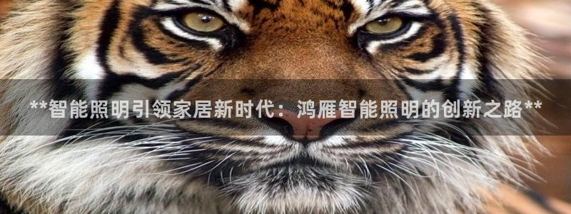 云顶集团游戏app苹果版