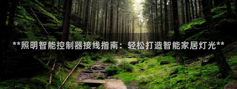 云顶国际麻将胡了几张牌