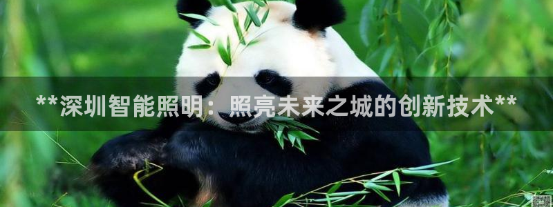 云顶国际前台电话是多少