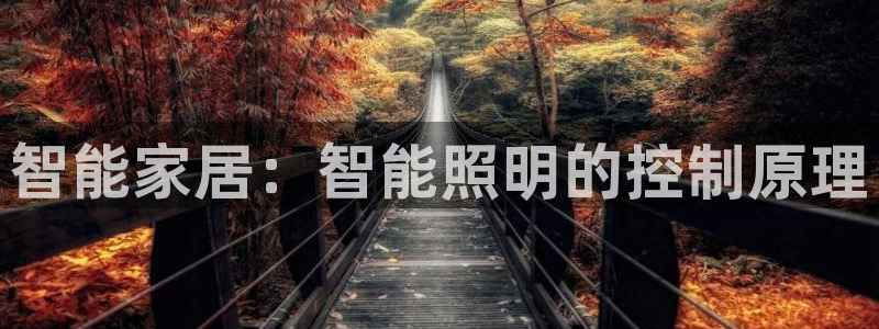 云顶国际club