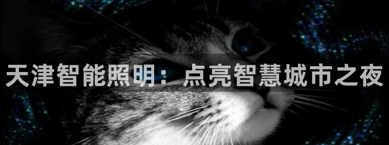 云顶国际不出款