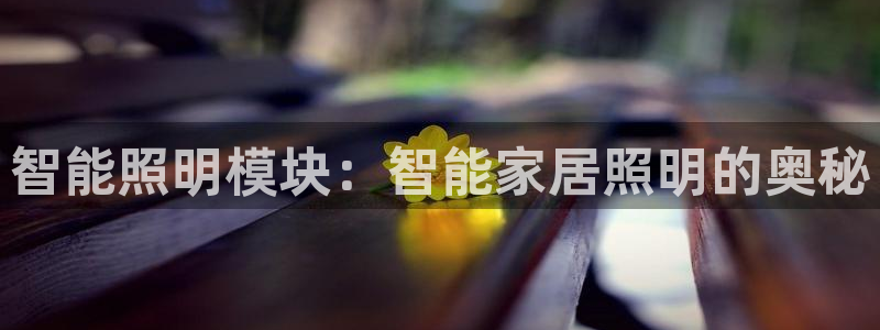 云顶国际大酒店是几星级