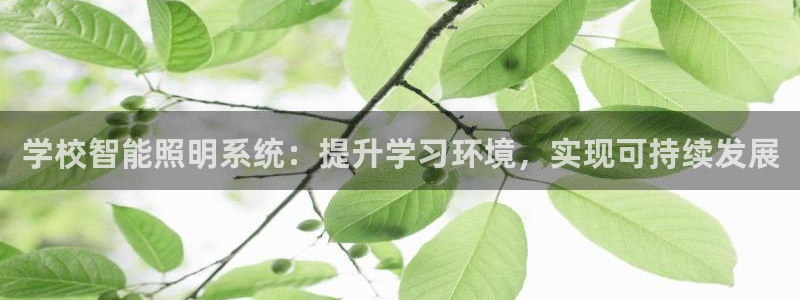 云顶集团有限公司招聘