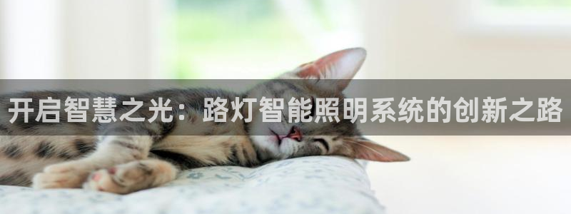 云顶国际集团开发有限公司