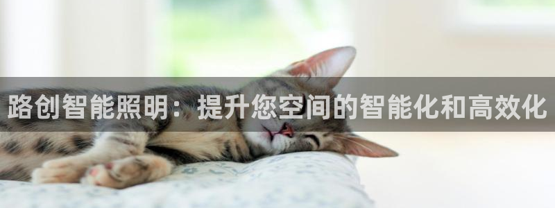 云顶集团公司简介