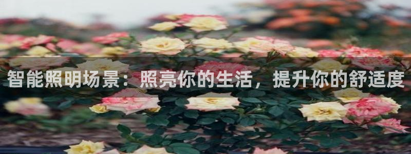 云顶国际小区