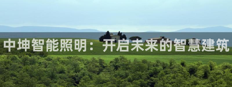云顶集团有限公司招聘