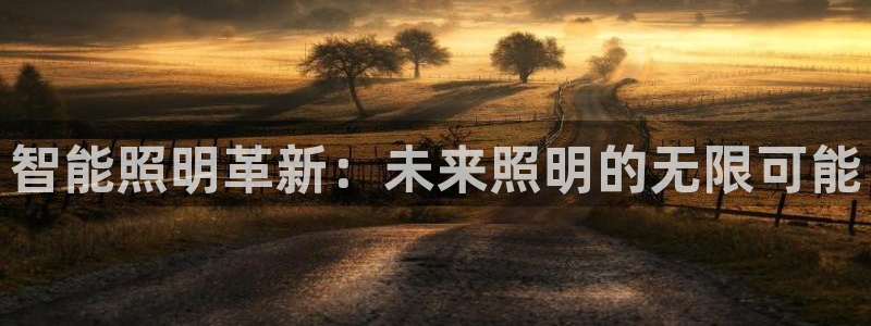 云顶国际酒店老板