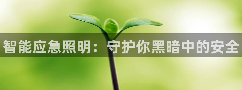 云顶国际平台是真的吗