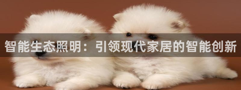云顶国际提现不到账怎么办