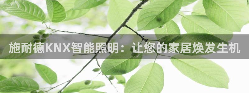 云顶国际平台游戏官网