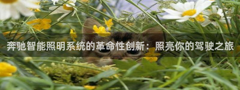上海云顶国际商业广场