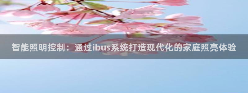 云顶dj