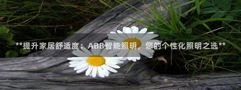 云顶集团董事长林东简历图片